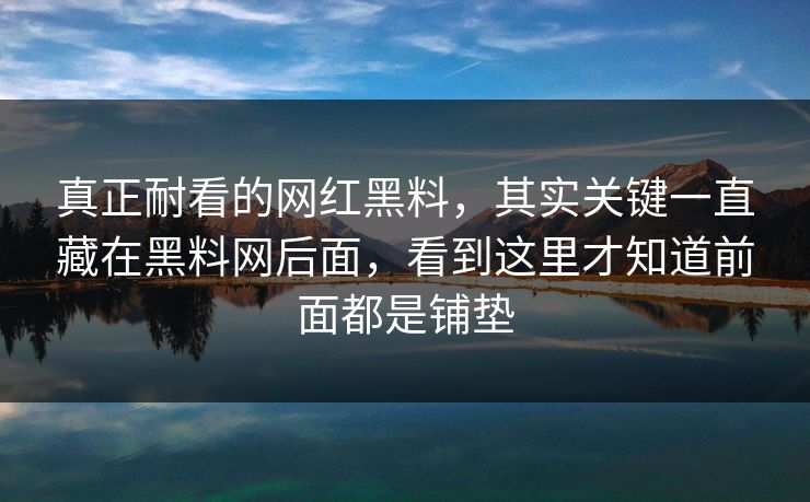 真正耐看的网红黑料，其实关键一直藏在黑料网后面，看到这里才知道前面都是铺垫