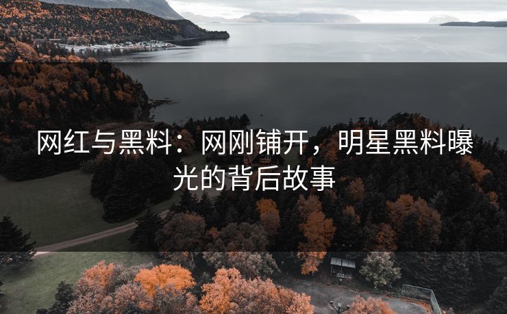 网红与黑料：网刚铺开，明星黑料曝光的背后故事