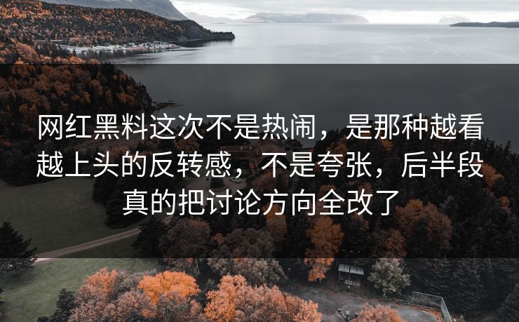 网红黑料这次不是热闹，是那种越看越上头的反转感，不是夸张，后半段真的把讨论方向全改了