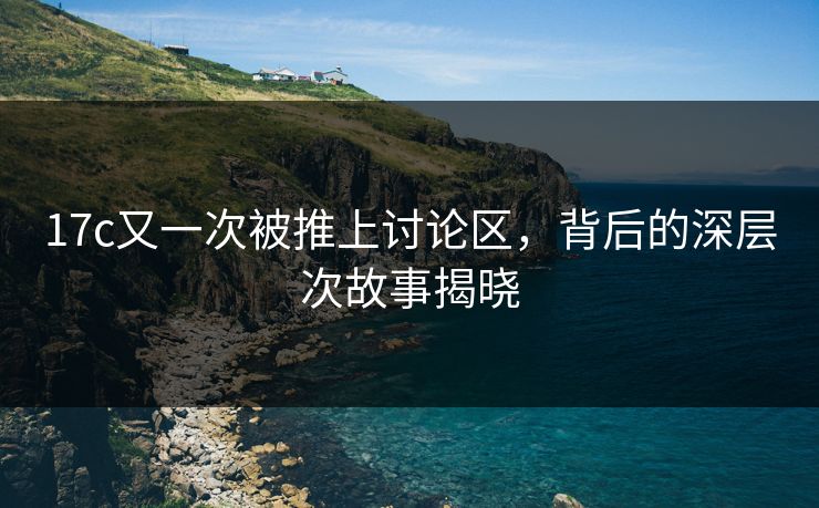<strong>17C</strong>又一次被推上讨论区，背后的深层次故事揭晓