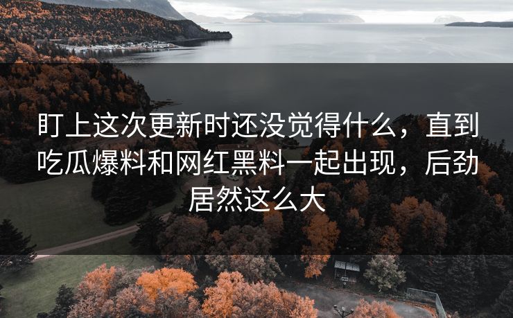 盯上这次更新时还没觉得什么，直到吃瓜爆料和网红黑料一起出现，后劲居然这么大