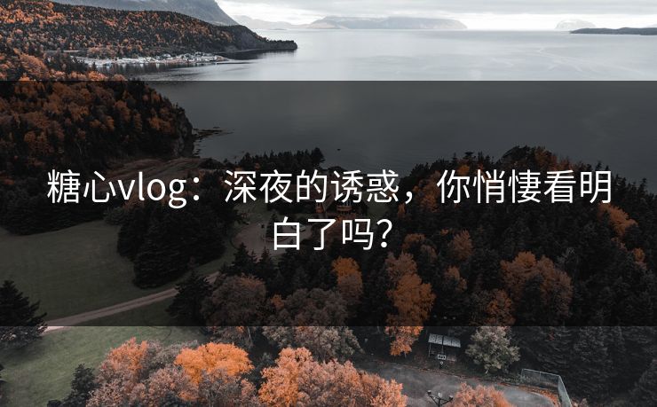 糖心vlog：深夜的诱惑，你悄悽看明白了吗？