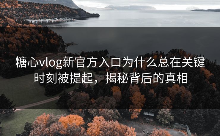 糖心vlog新官方入口为什么总在关键时刻被提起，揭秘背后的真相