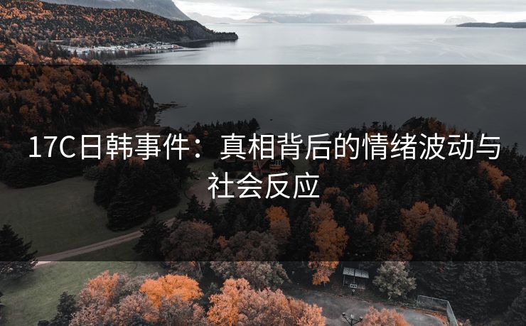 <strong>17C</strong>日韩事件：真相背后的情绪波动与社会反应