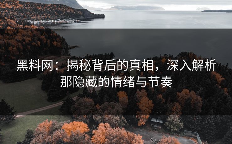 黑料网：揭秘背后的真相，深入解析那隐藏的情绪与节奏